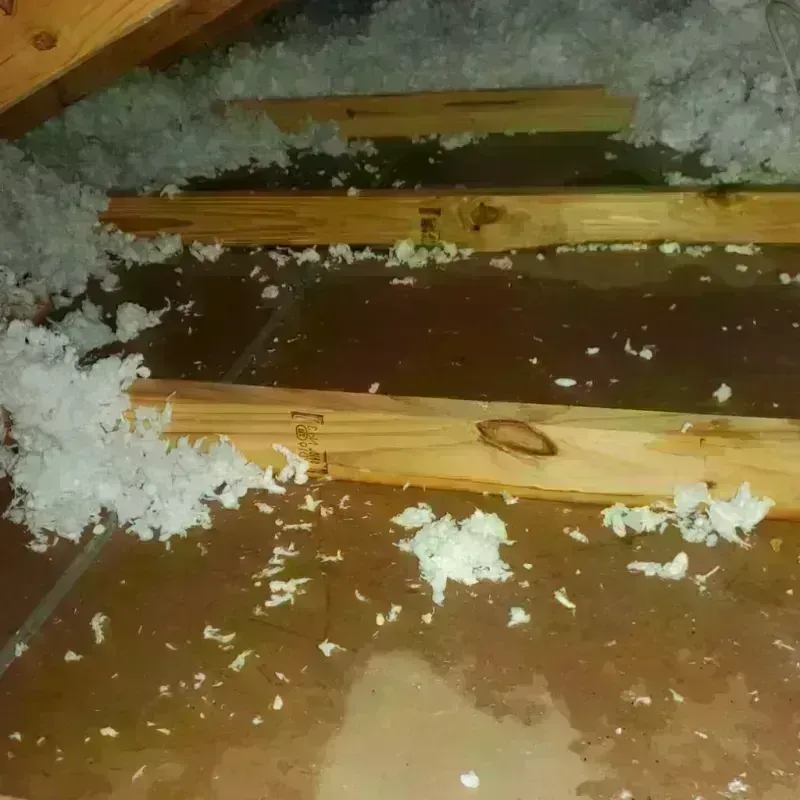 Attic Water Damage in Ponce, PR